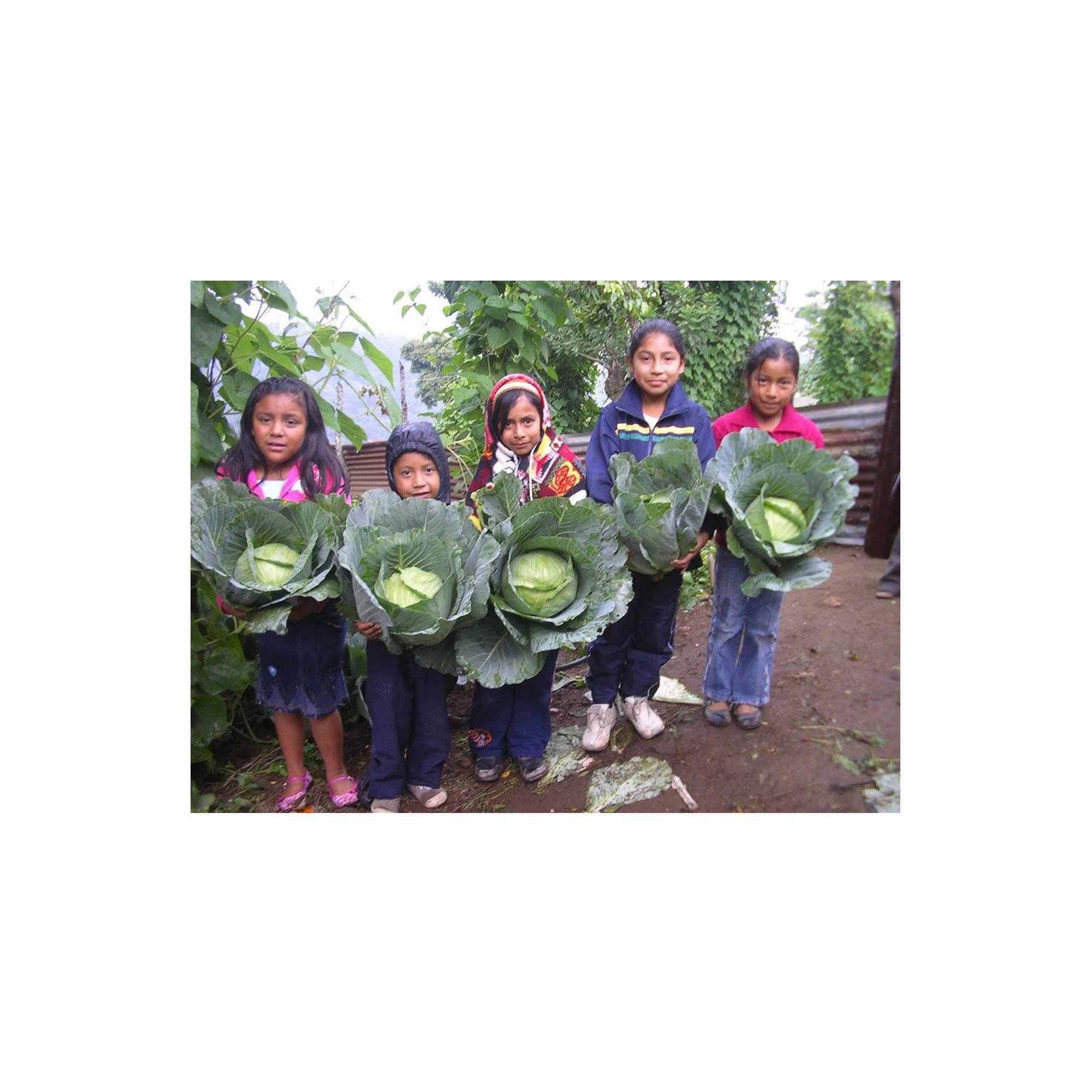project